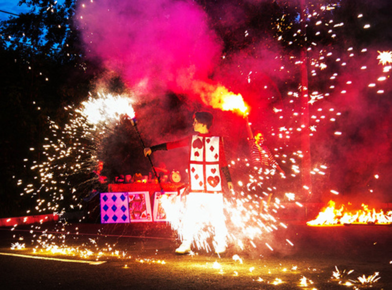 Огненное шоу "Grace"